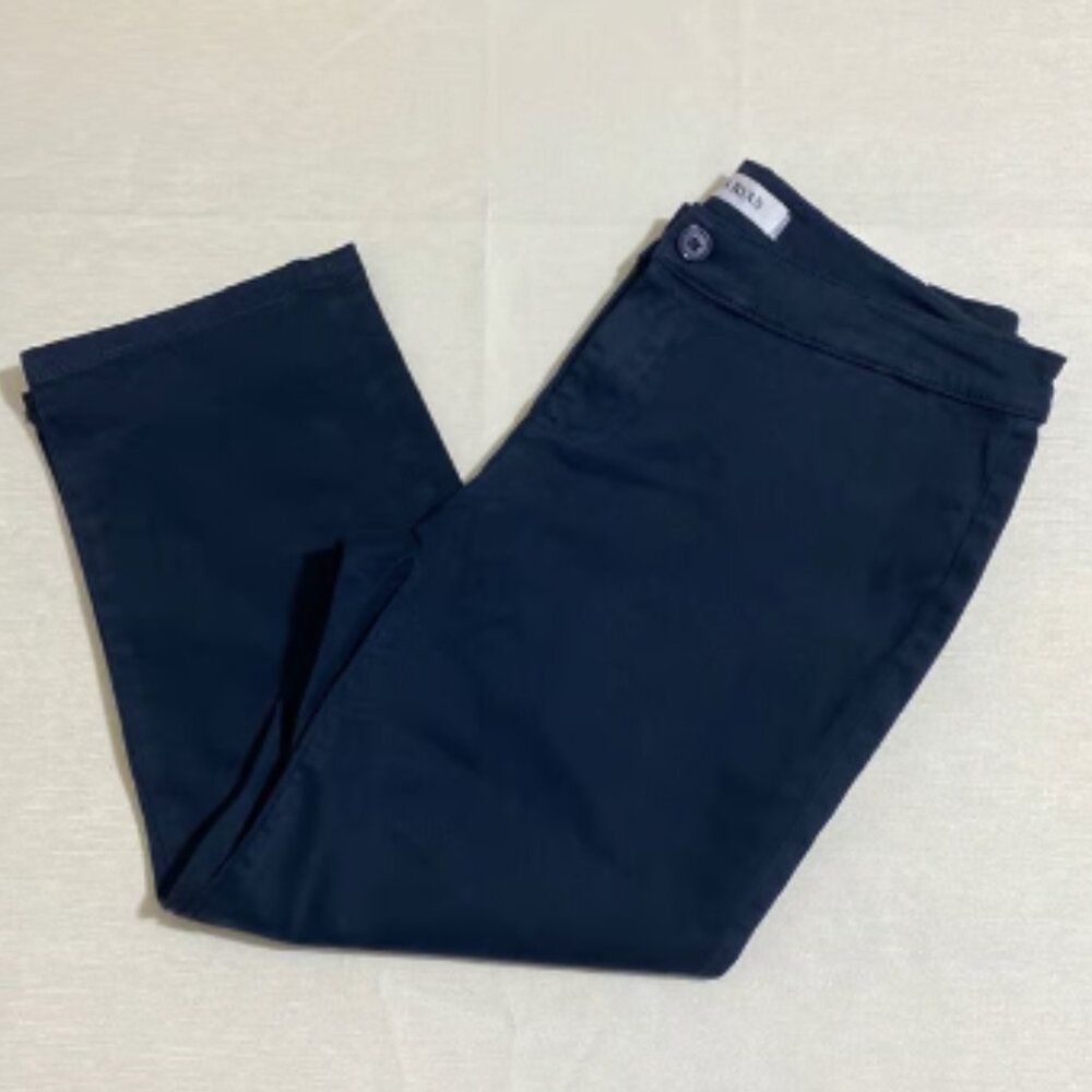 NWOT LILA RYAN The Jase Slim Straight Pedal Pusher Capri Pants Size 4P